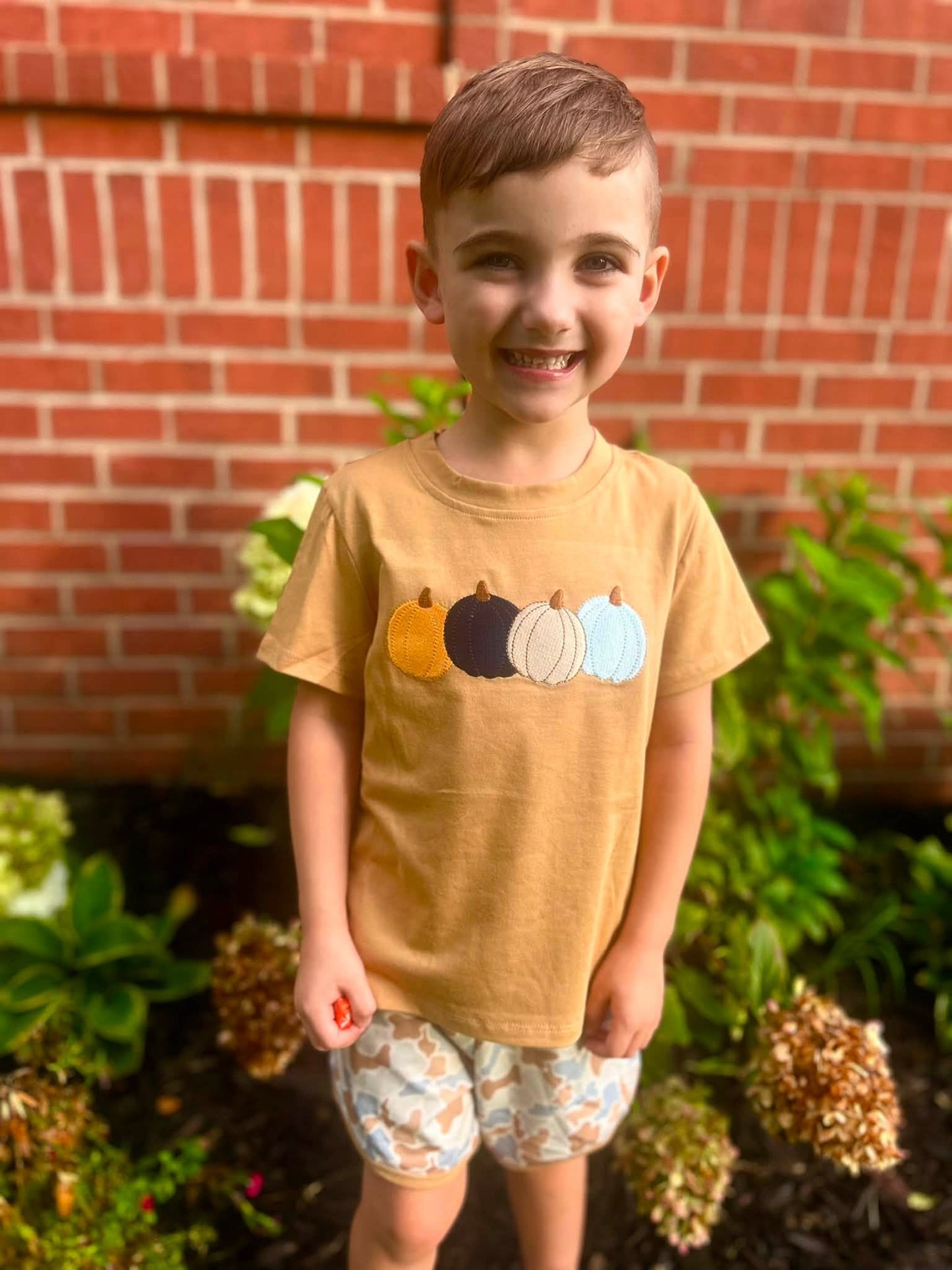 Fall Pumpkin Patch Set