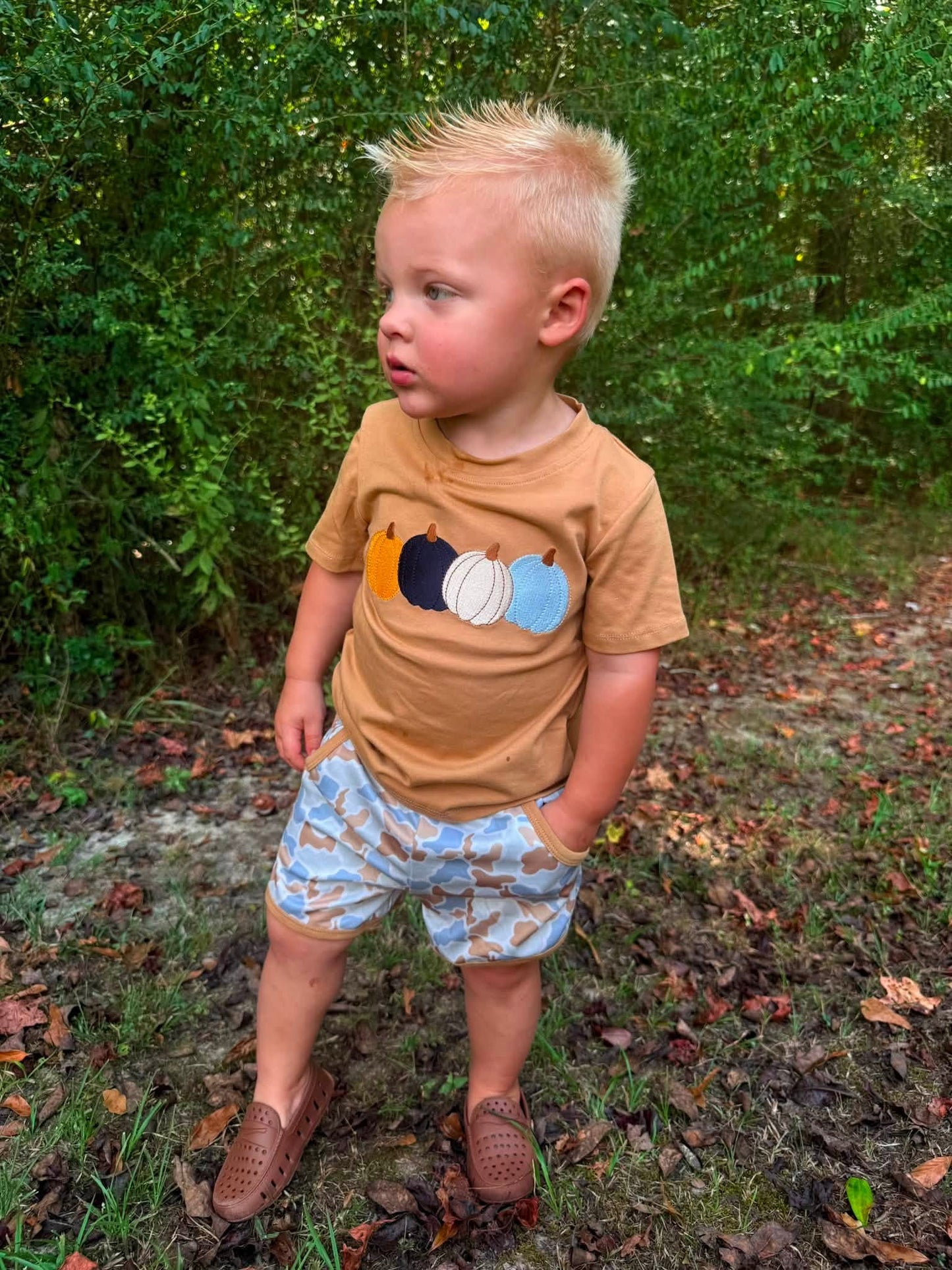 Fall Pumpkin Patch Set