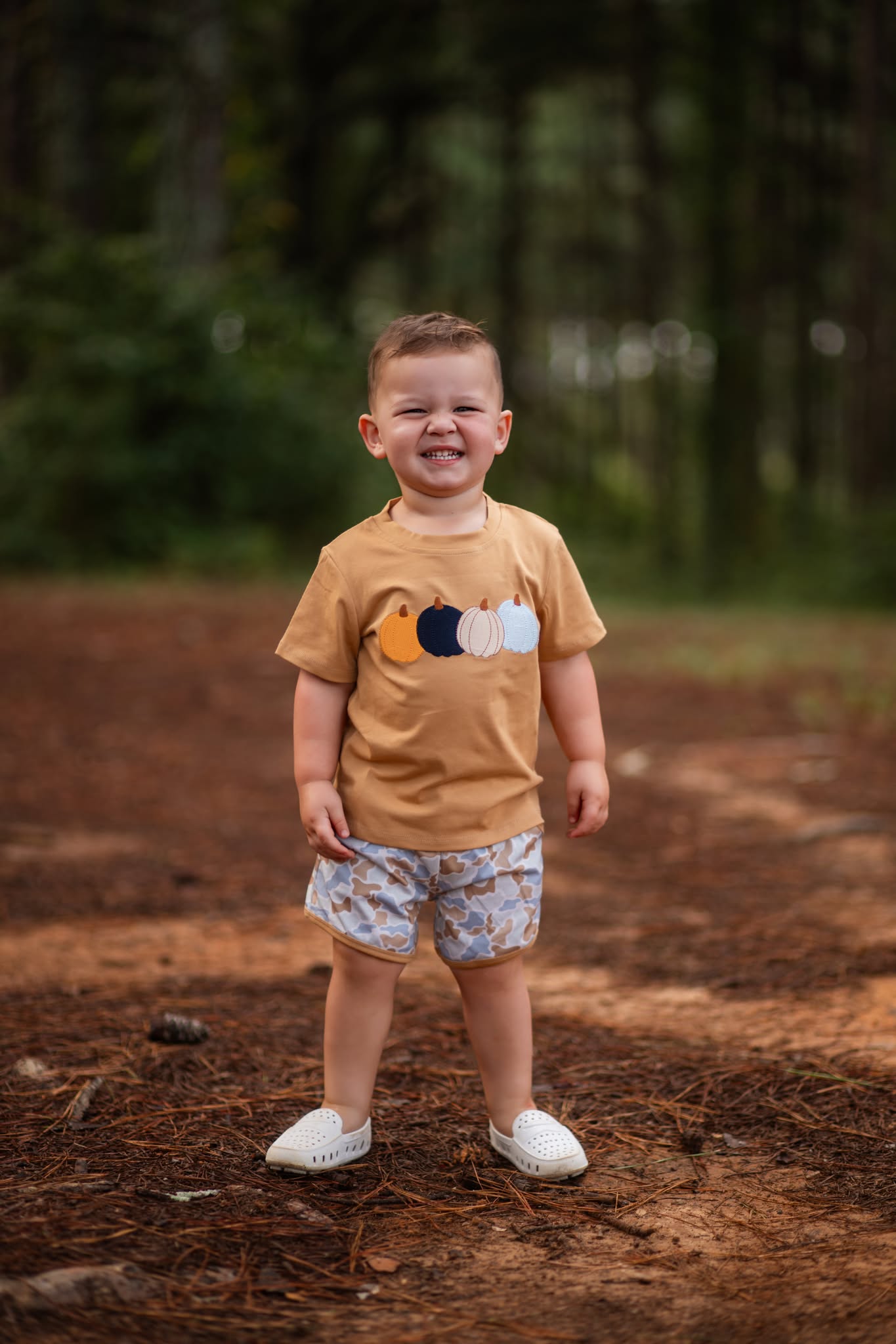 Fall Pumpkin Patch Set