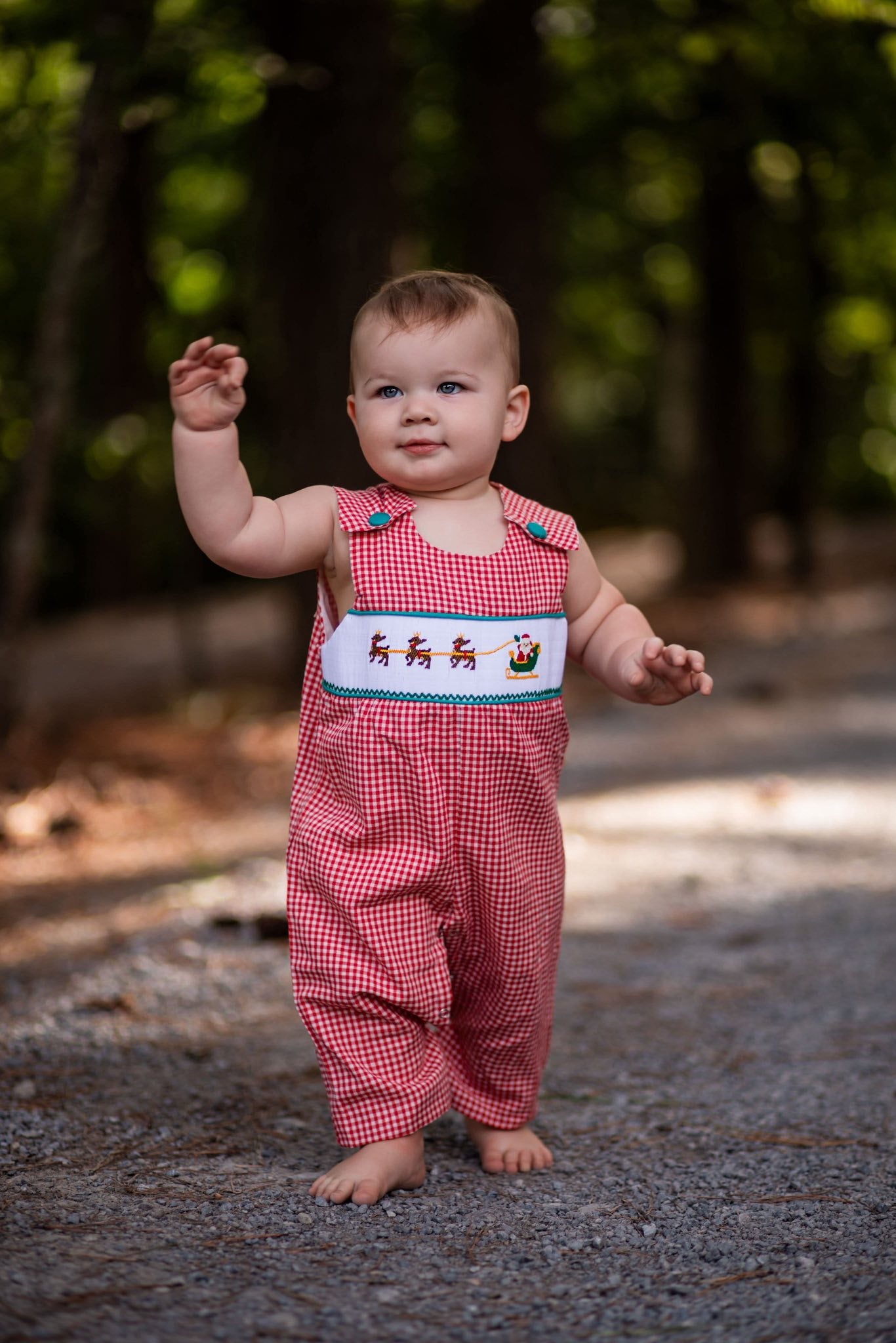 Smocked Christmas Longhall