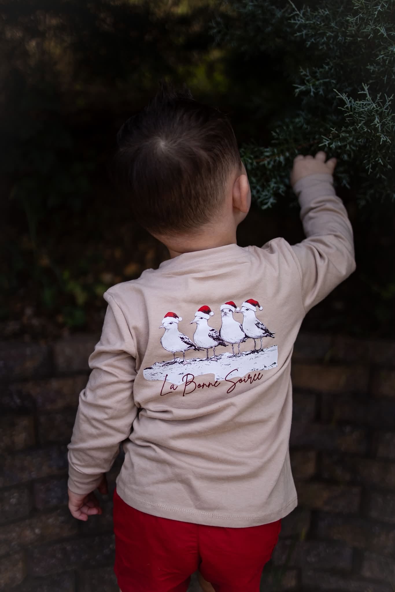 Seagull Christmas Shirt